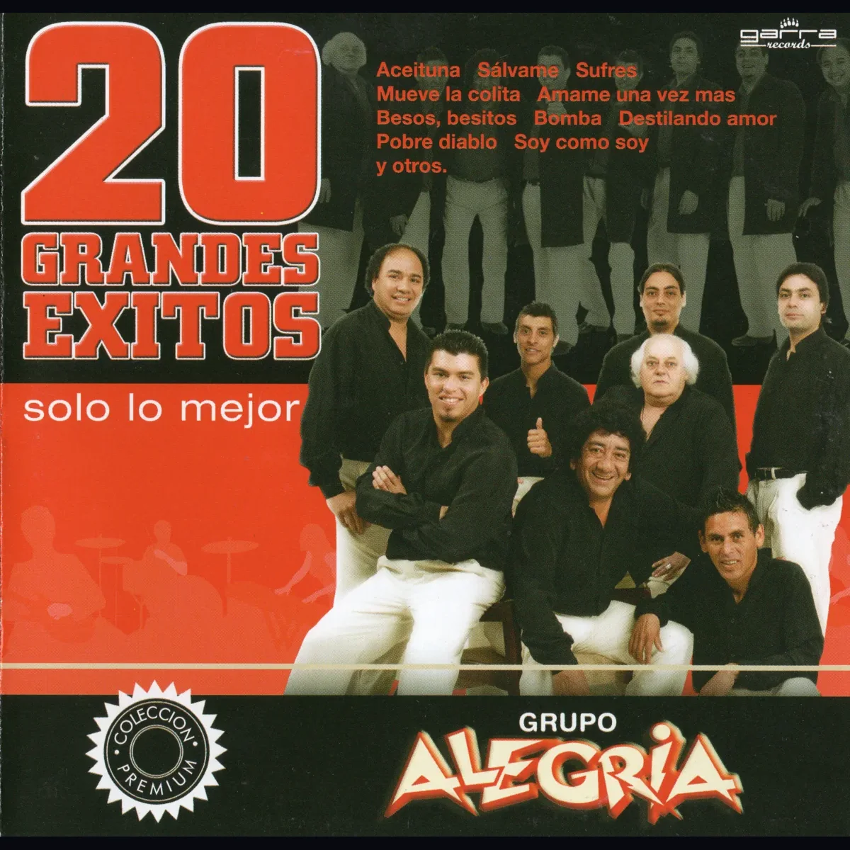 Carátula de 20 Grandes Exitos por Revisar